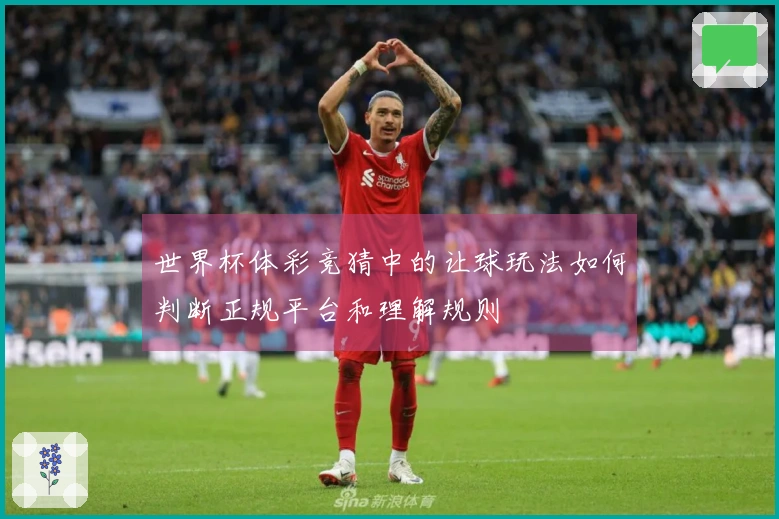 世界杯体彩竞猜中的让球玩法如何判断正规平台和理解规则