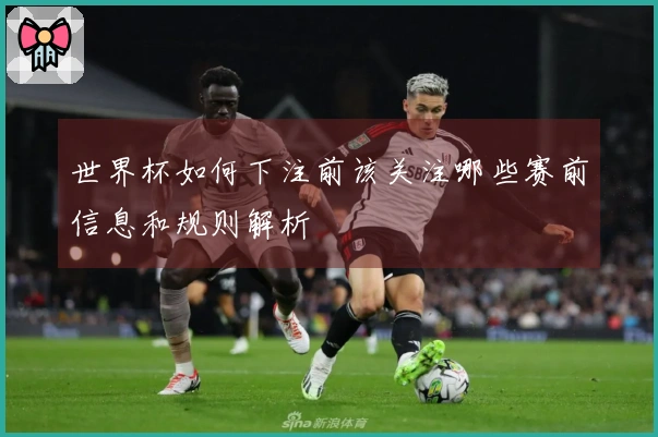 世界杯如何下注前该关注哪些赛前信息和规则解析
